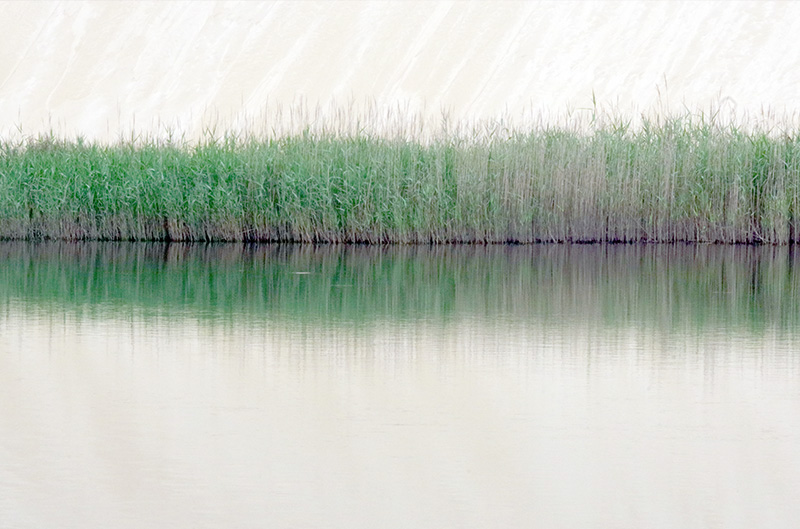 Spiegelung im Wasser